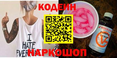 индика Кингисепп