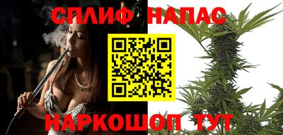 ешки Будённовск
