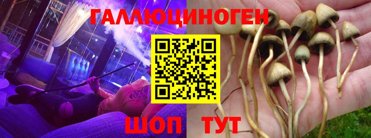 Псилоцибиновые грибы GOLDEN TEACHER  Галлюциногенные грибы мухоморы  Заводоуковск 