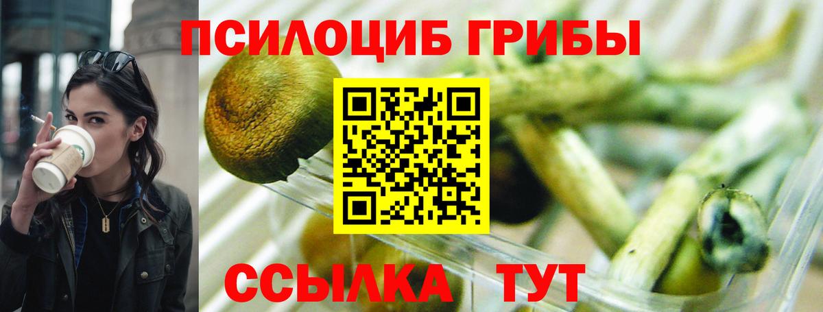 где можно купить   Галлюциногенные грибы мицелий  Вход с VPN  Заводоуковск 